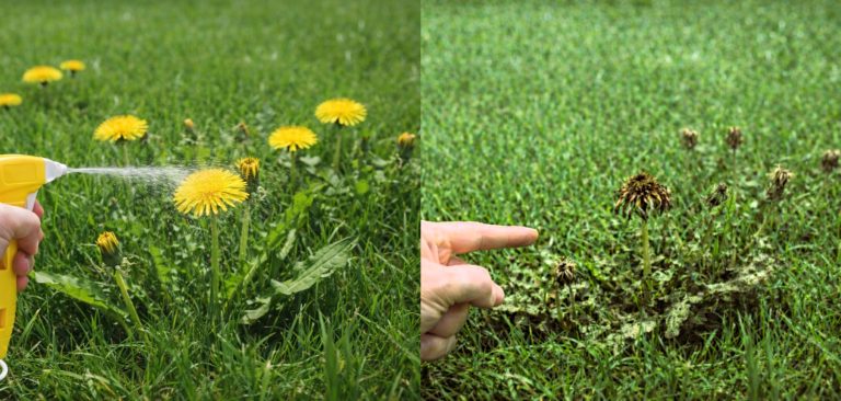 before_after_web_ready